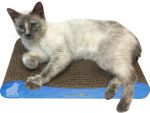Nifty Scratch 'n Shape Cat Scratcher [Blue Prism]